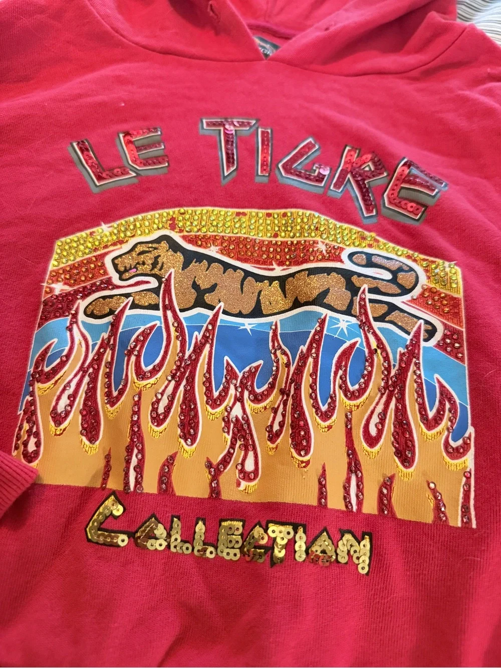 Le Tigre Graphic Hoodie - Bold Flame Design